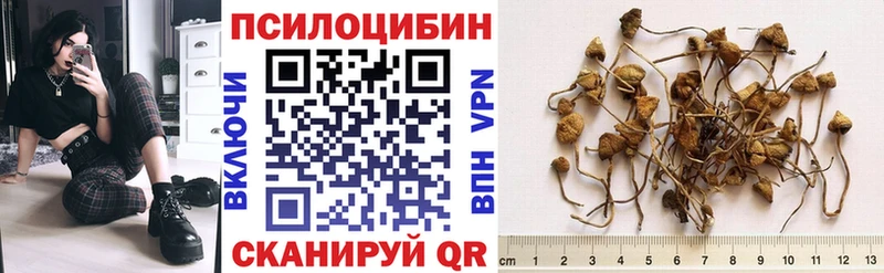 дарнет шоп  Бирюч  Псилоцибиновые грибы MAGIC MUSHROOMS 